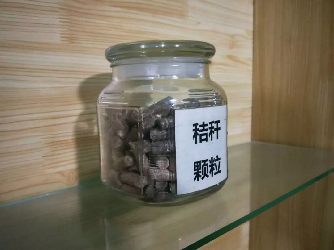 大連生（shēng）物質鍋爐